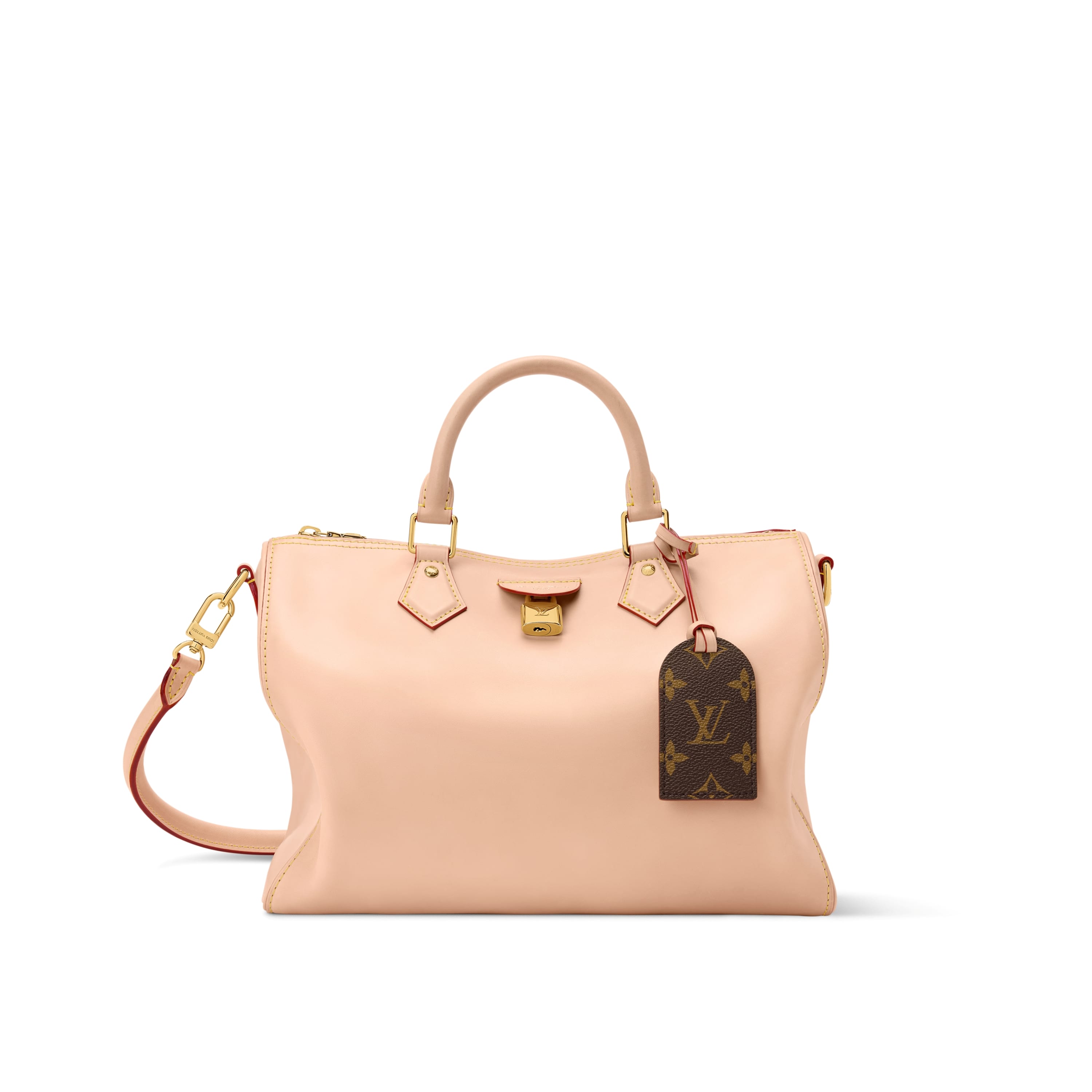 Louis Vuitton VVN collection